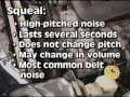 Belt Noise - Causes & Solutions